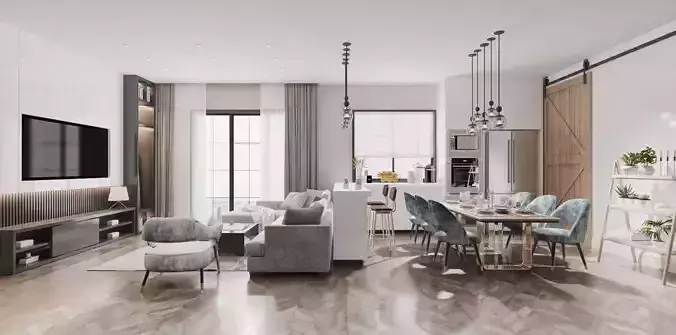 Apartment living room 50