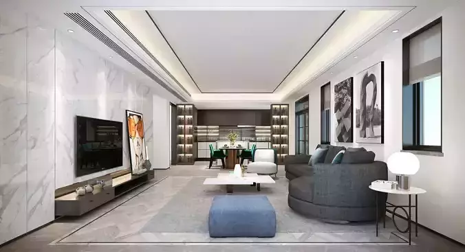 Luxury apartment living room 102