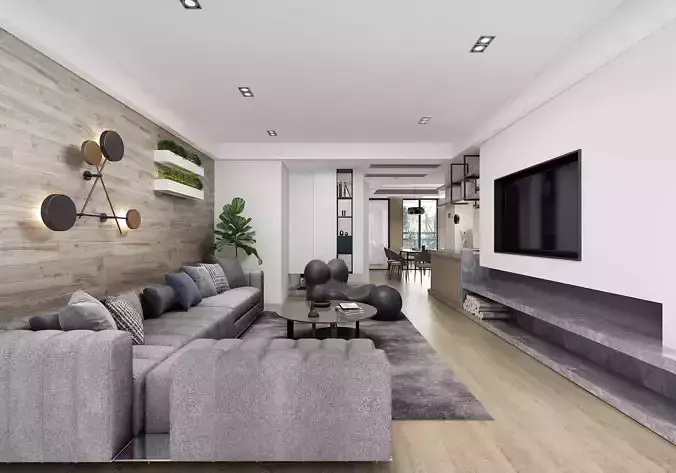Luxury apartment living room  101