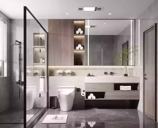 Apartment washroom 4