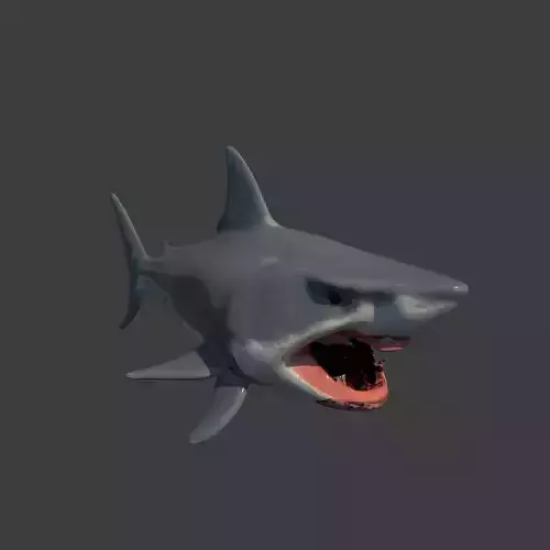 Shark Base Model 