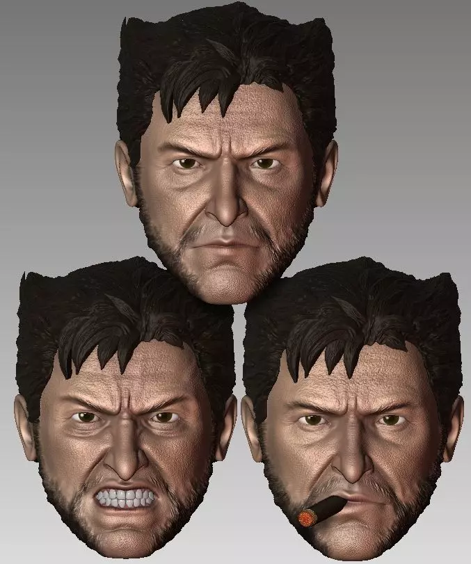 Pack Logan Headsculpt Wolverine Hugh Jackman  3D print model_0