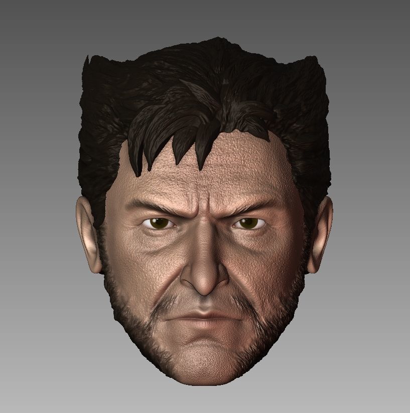 Pack Logan Headsculpt Wolverine Hugh Jackman  3D print model_1