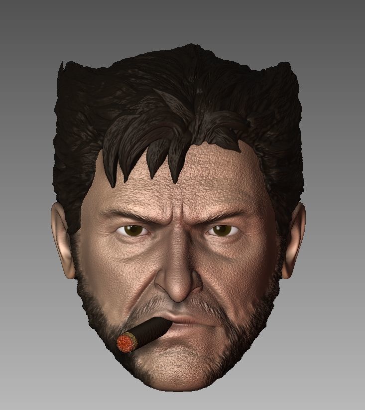 Pack Logan Headsculpt Wolverine Hugh Jackman  3D print model_3