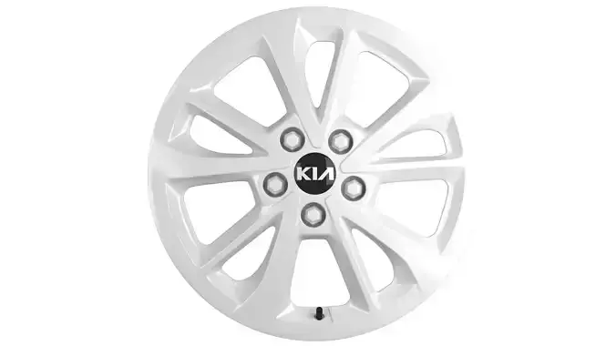 Kia Carnival rim