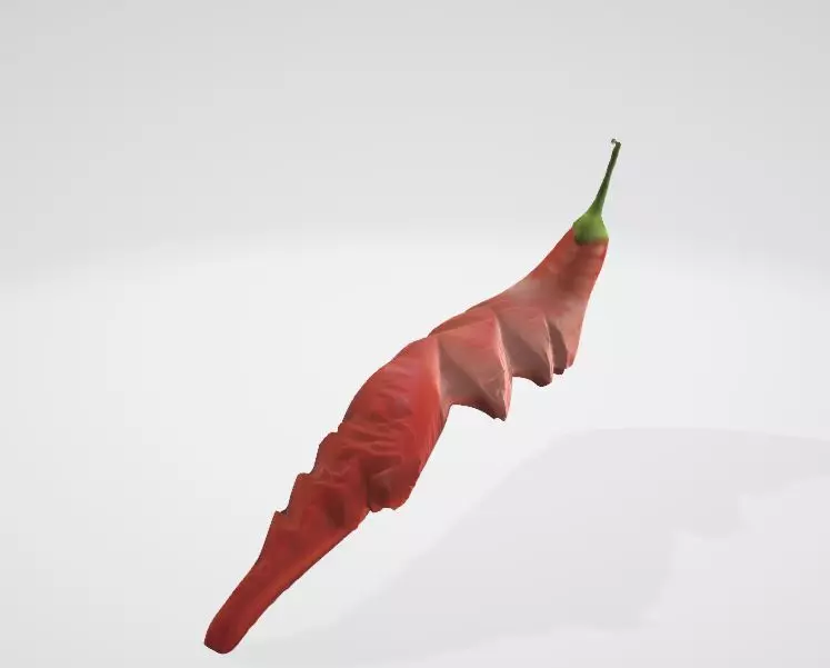 Cut Hot Pepper Detailed Realistic 3D Asset Low-poly 3D model_0