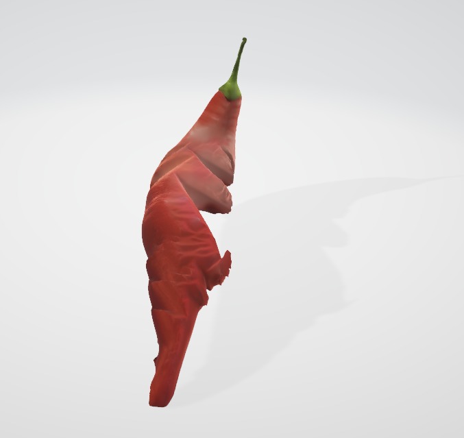 Cut Hot Pepper Detailed Realistic 3D Asset Low-poly 3D model_4