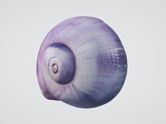 Realistic Snail Detailed 3D Model 3D model_4