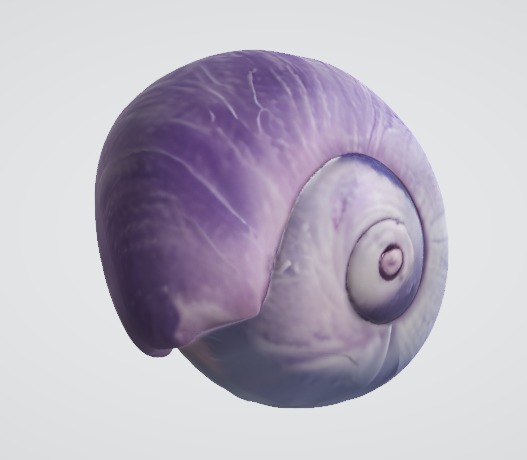 Realistic Snail Detailed 3D Model 3D model_1