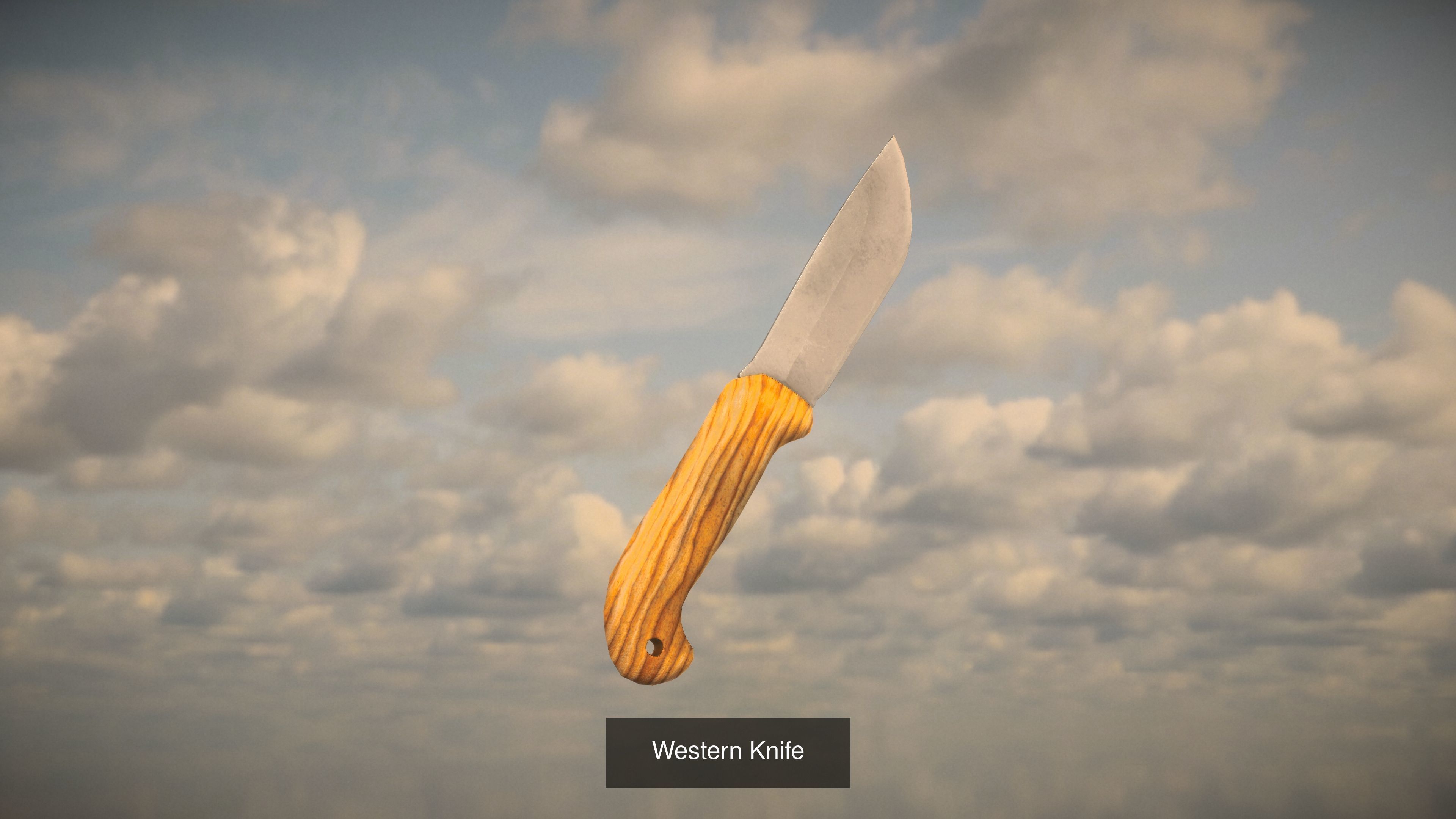 Western Weapon Pack 3D Model Collection_6