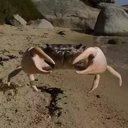 Red Crab  3D print model
