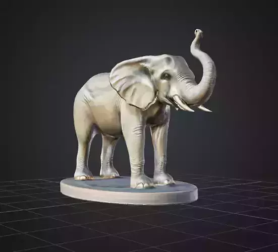 Elephant