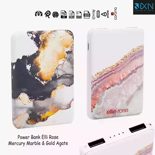 Power Bank Elli Rose Mercury Marble and Gold Agate 3D model