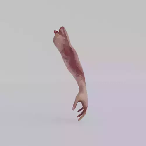 Accident hand Low-poly 3D model