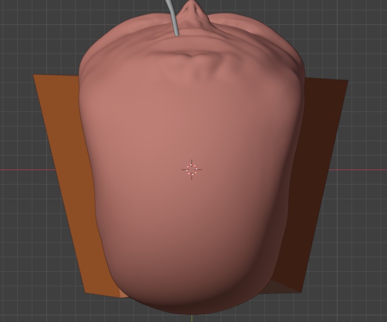 Twump 3D model_4