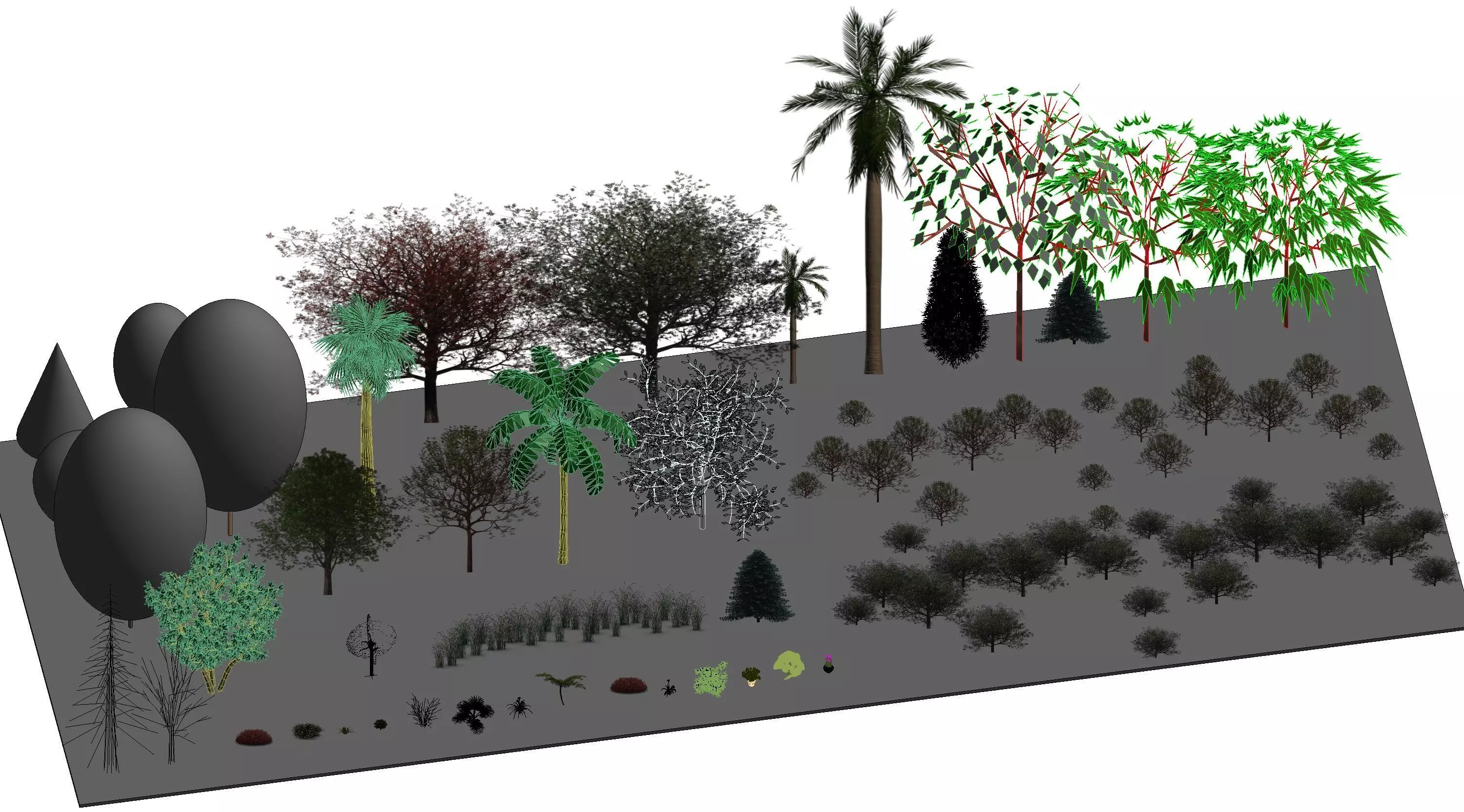 Tree Outdoor Landscape Revit Family 3D model