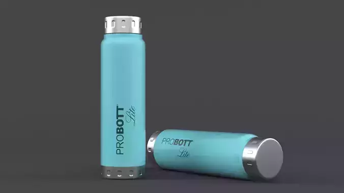 Water Bottle 3D model