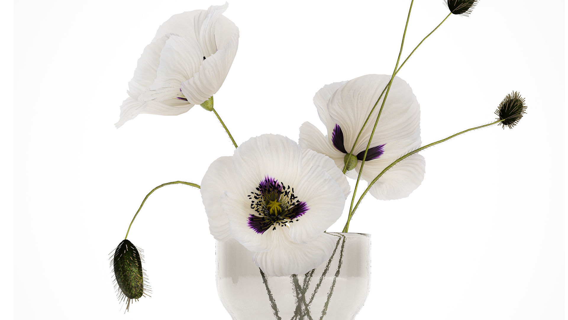 Bouquet Of White Wild Flowers In A Vase Poppy 455 3D model_5
