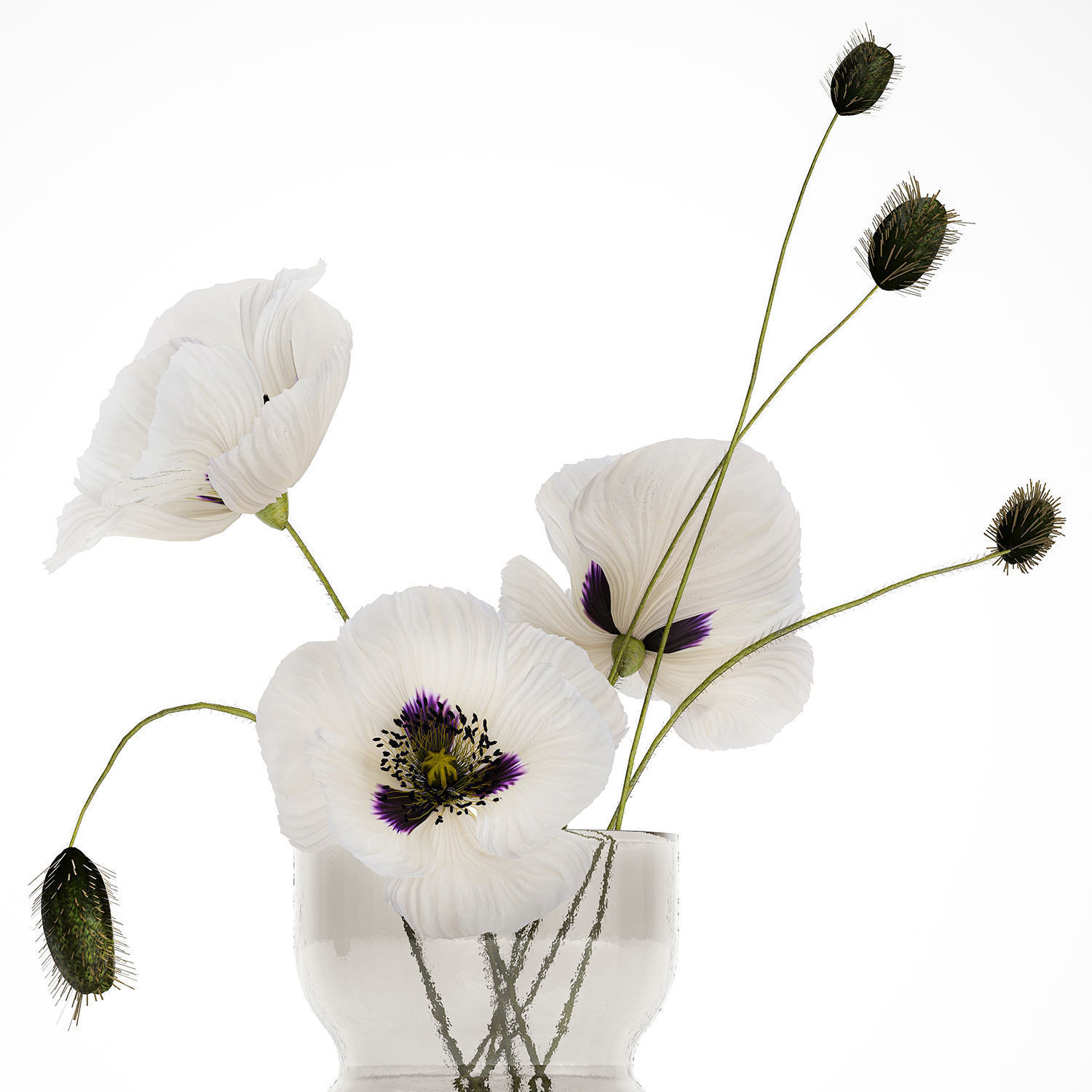 Bouquet Of White Wild Flowers In A Vase Poppy 455 3D model_10