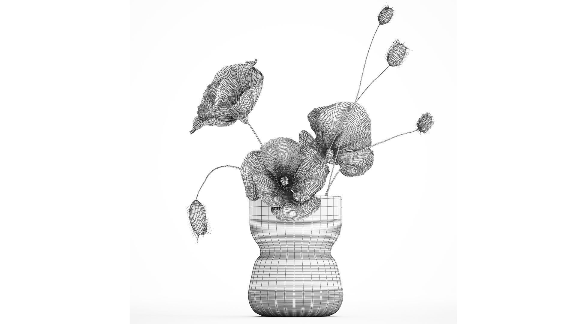 Bouquet Of White Wild Flowers In A Vase Poppy 455 3D model_6