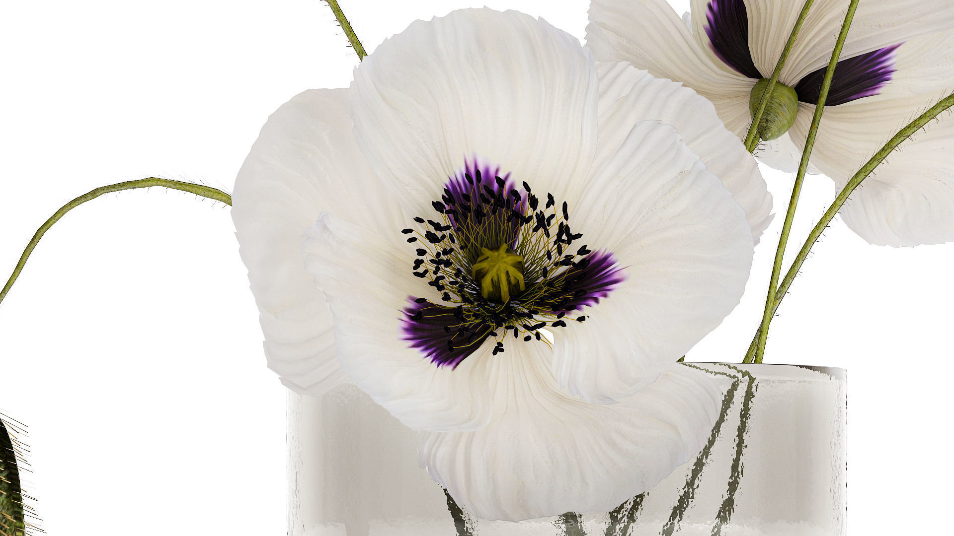 Bouquet Of White Wild Flowers In A Vase Poppy 455 3D model_3