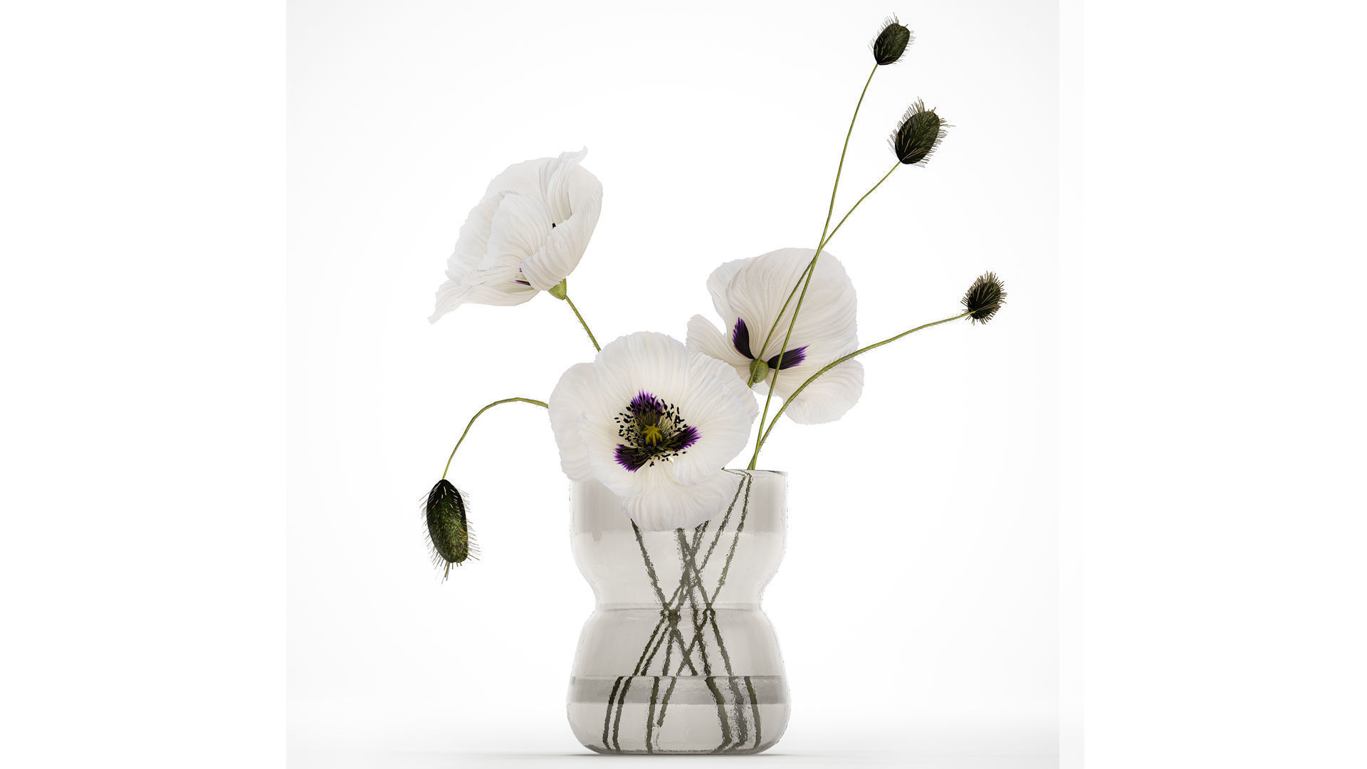 Bouquet Of White Wild Flowers In A Vase Poppy 455 3D model_1