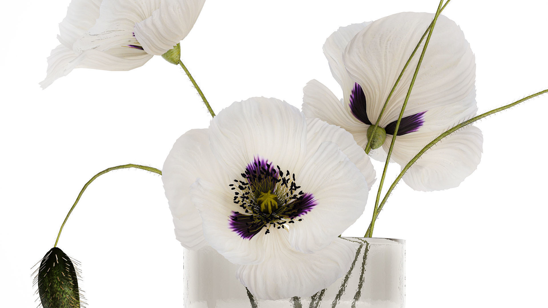 Bouquet Of White Wild Flowers In A Vase Poppy 455 3D model_4