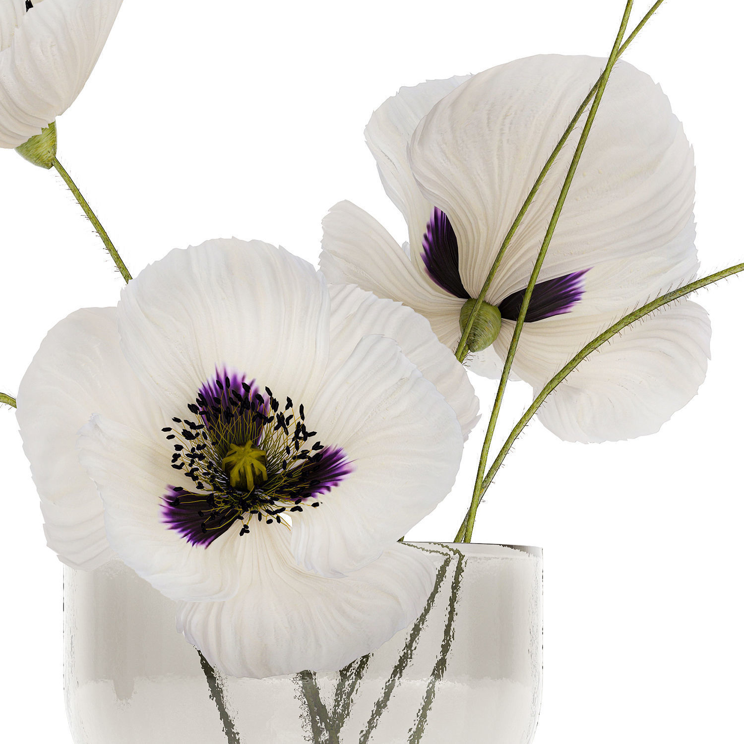 Bouquet Of White Wild Flowers In A Vase Poppy 455 3D model_8