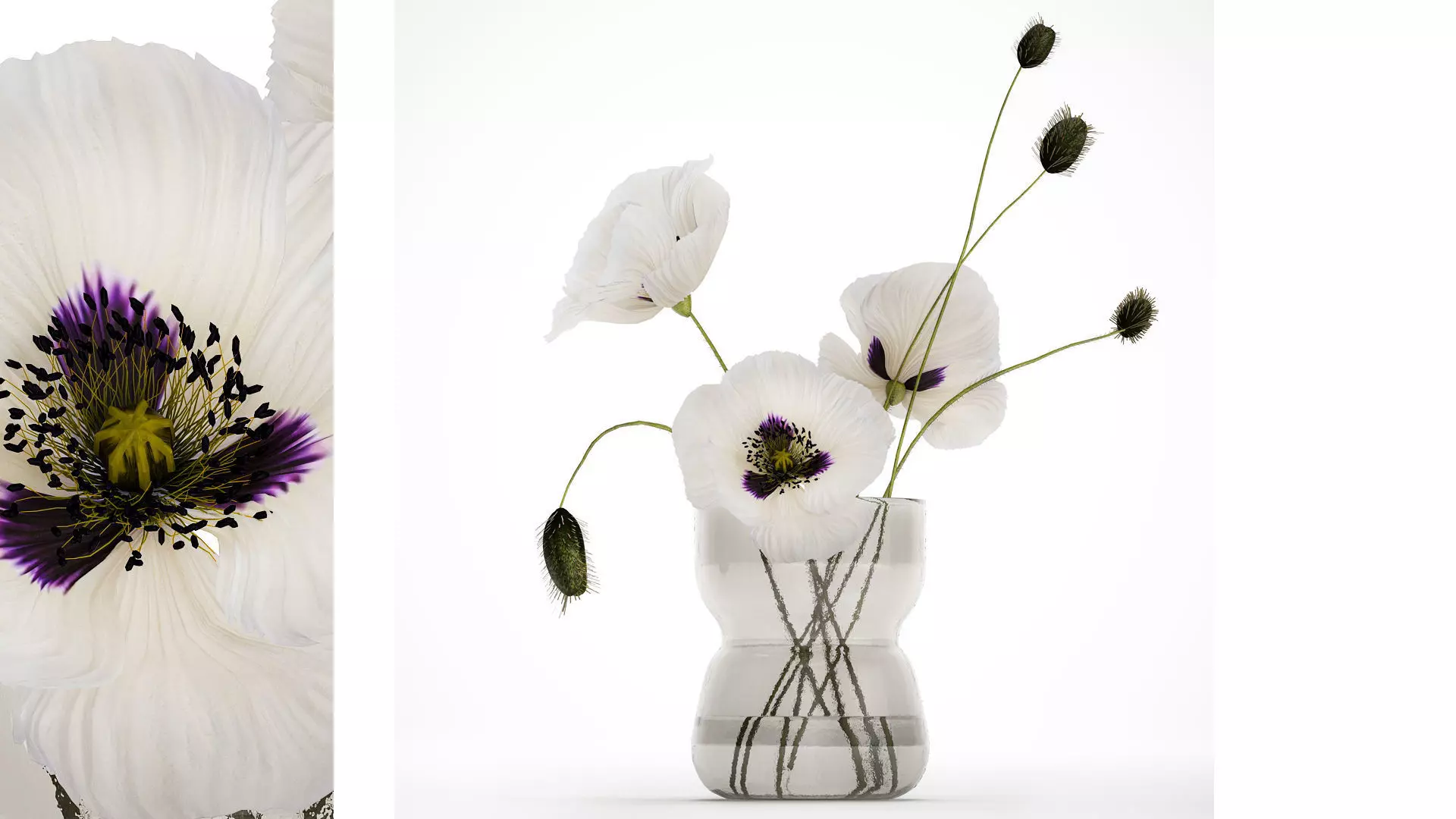 Bouquet Of White Wild Flowers In A Vase Poppy 455 3D model_0