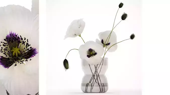 Bouquet Of White Wild Flowers In A Vase Poppy 455 3D model
