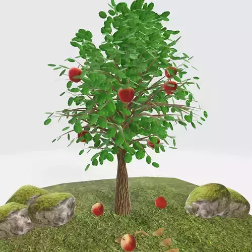 Apple Tree