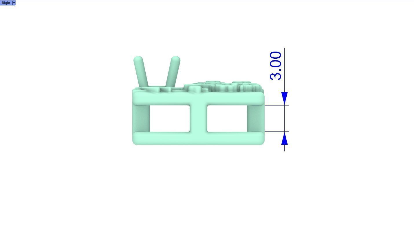 Birthflower Box Pendant October 3D print model_9