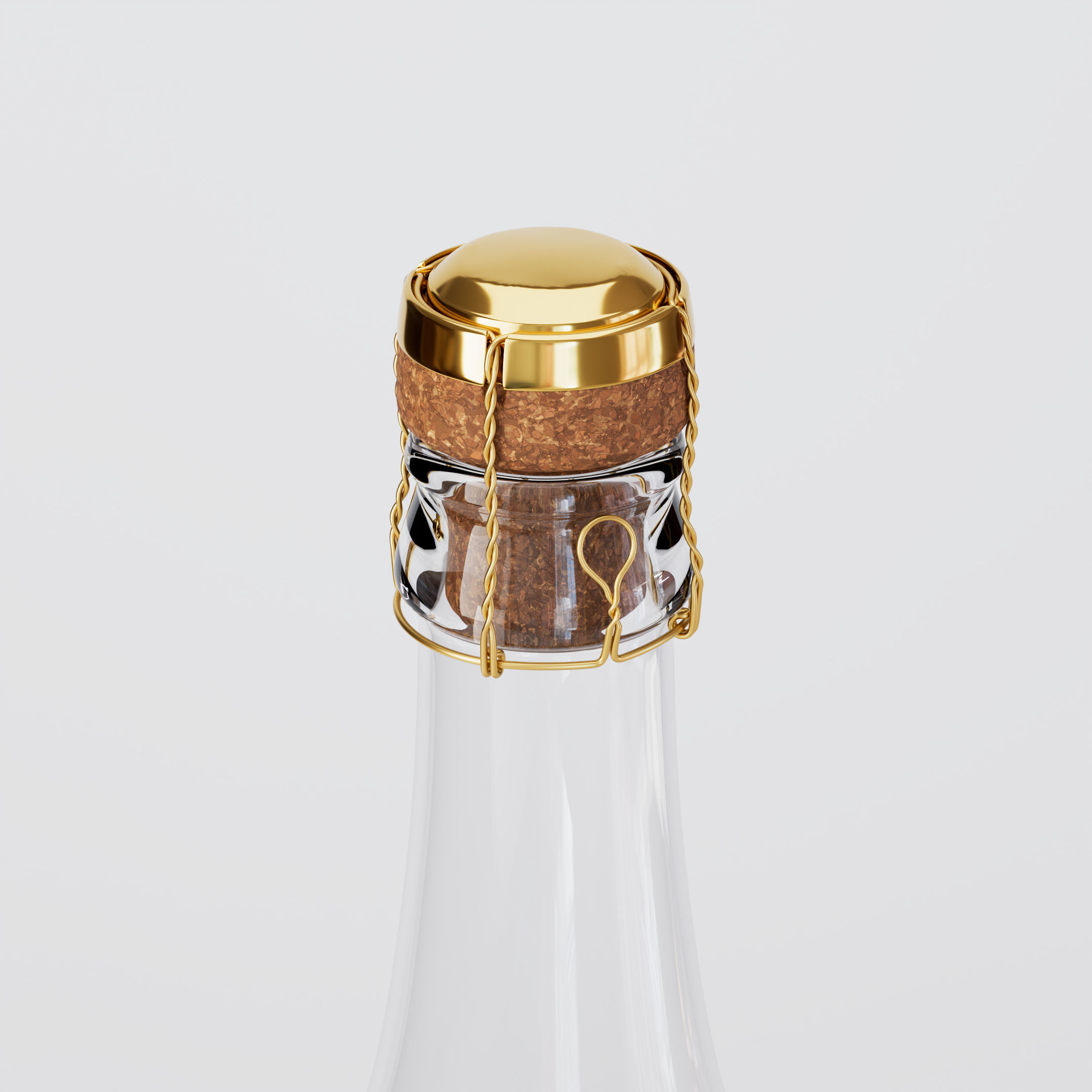 Champagne Bottle 3D model_4