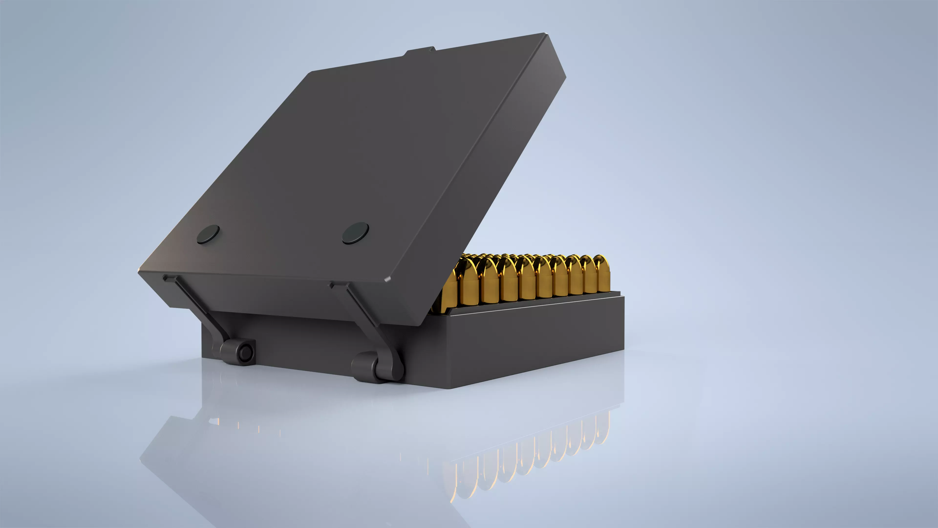 Printable Ammunition box 357 Mag 100r with Storage pins 3D print model_0