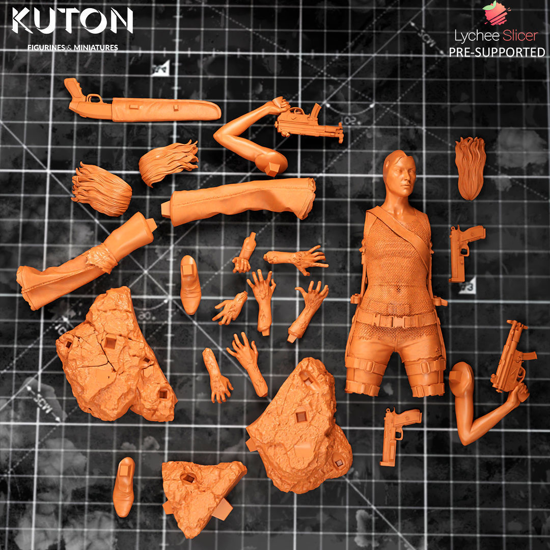 Alice 3D print model_8