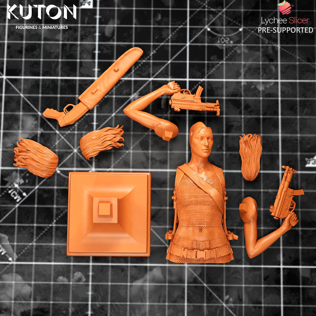 Alice 3D print model_9