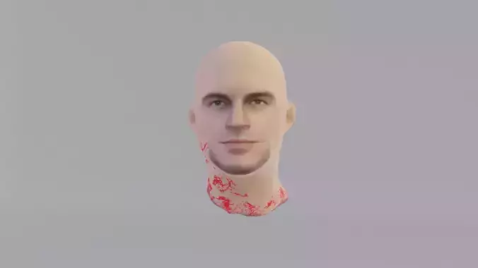 Accident Head Low-poly 3D model