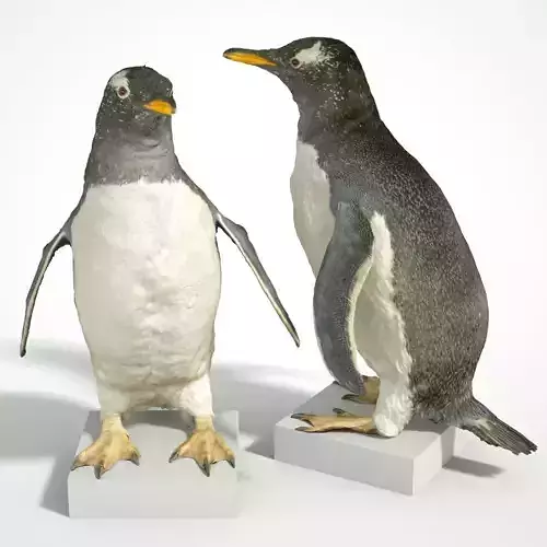 Penguin 3D print model