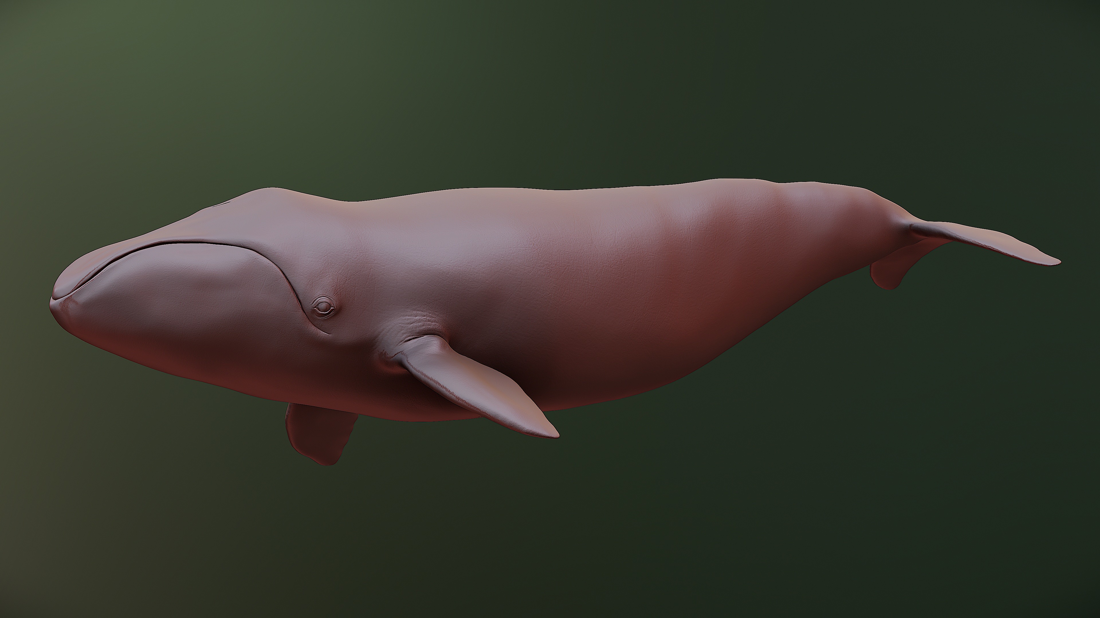 Bowhead Whale 3D print model_6