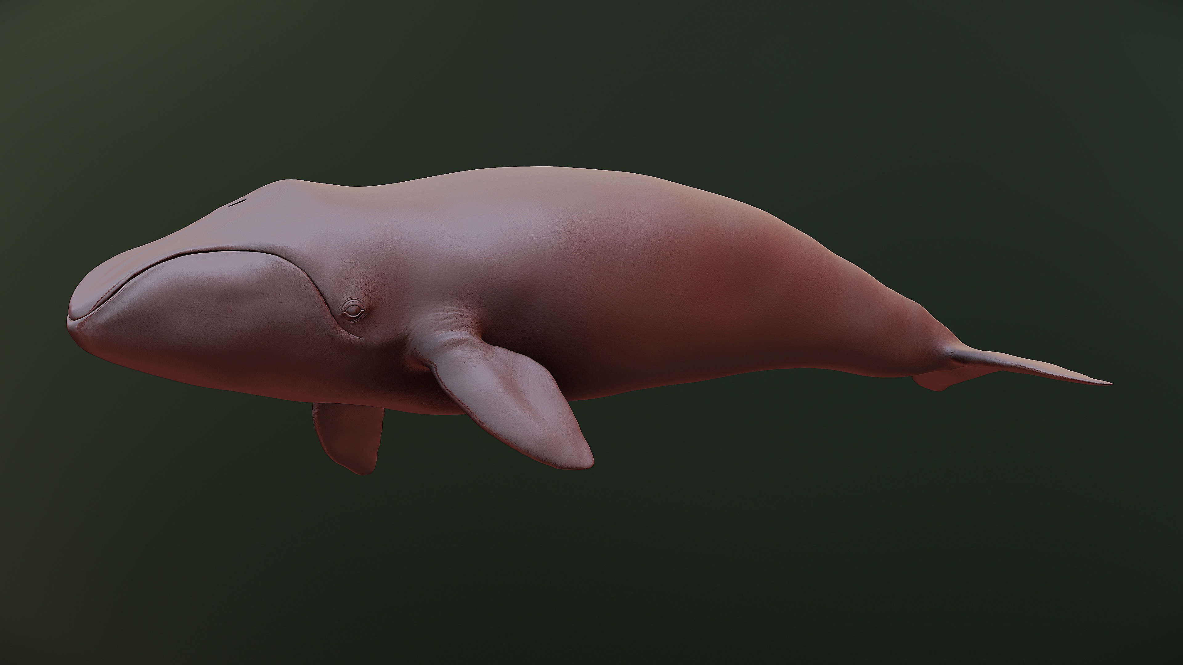 Bowhead Whale 3D print model_10