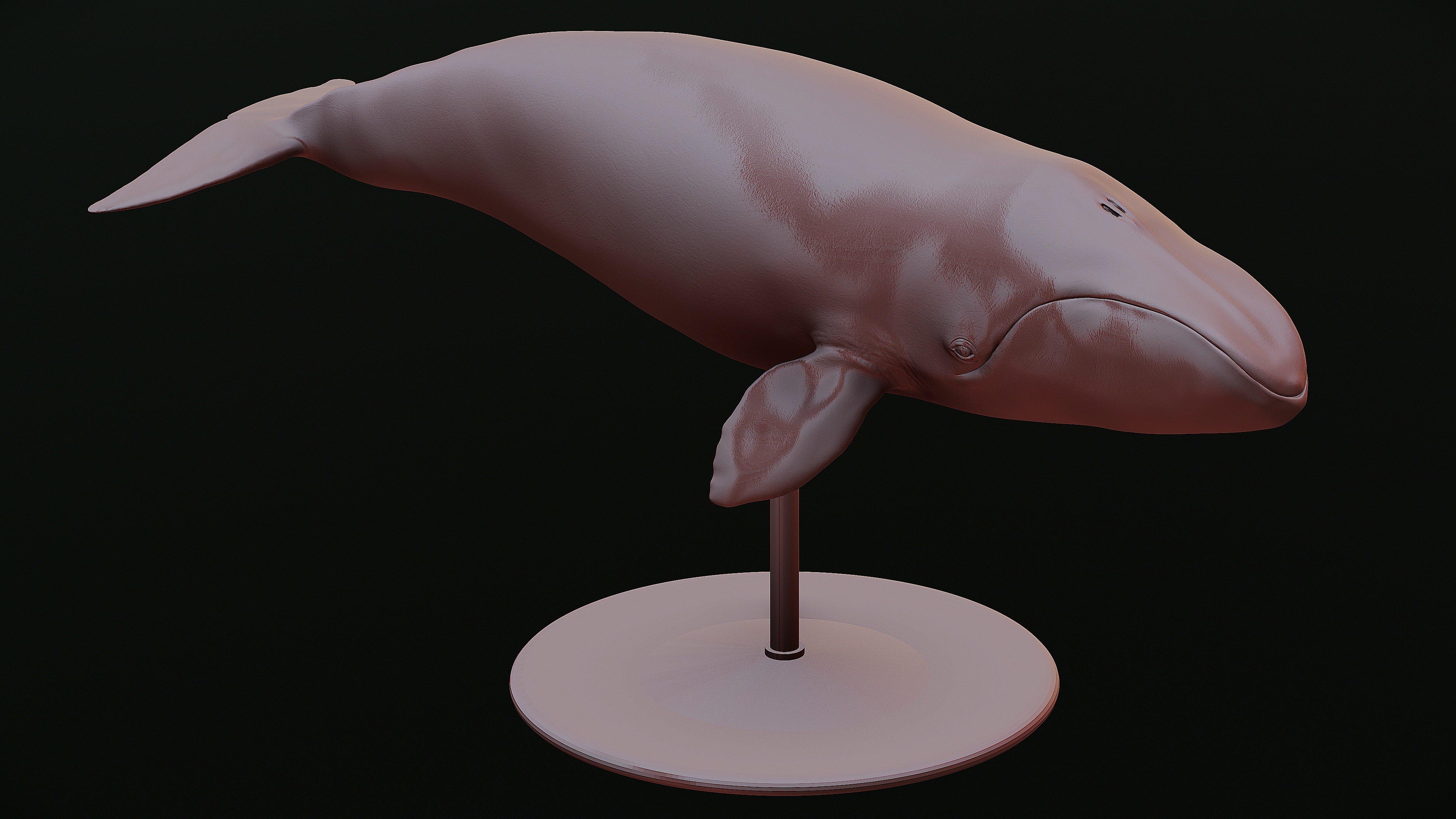 Bowhead Whale 3D print model_12