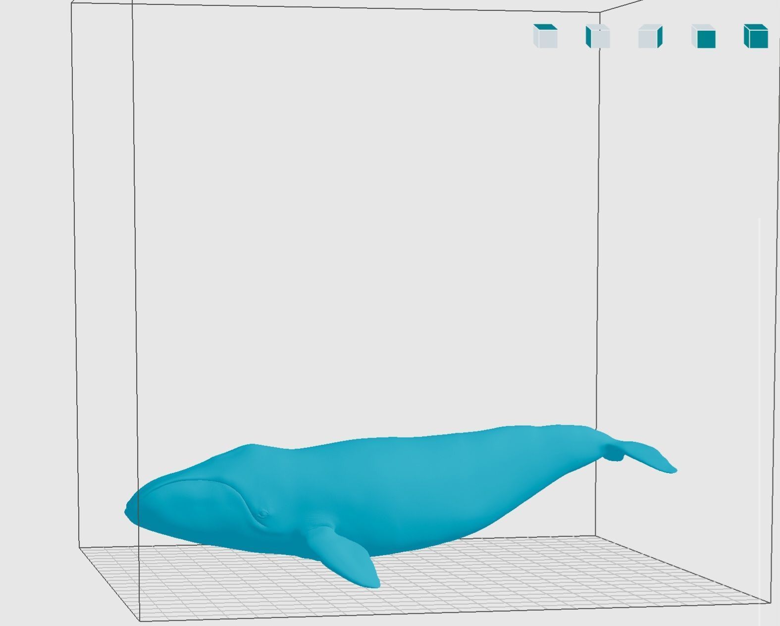 Bowhead Whale 3D print model_3