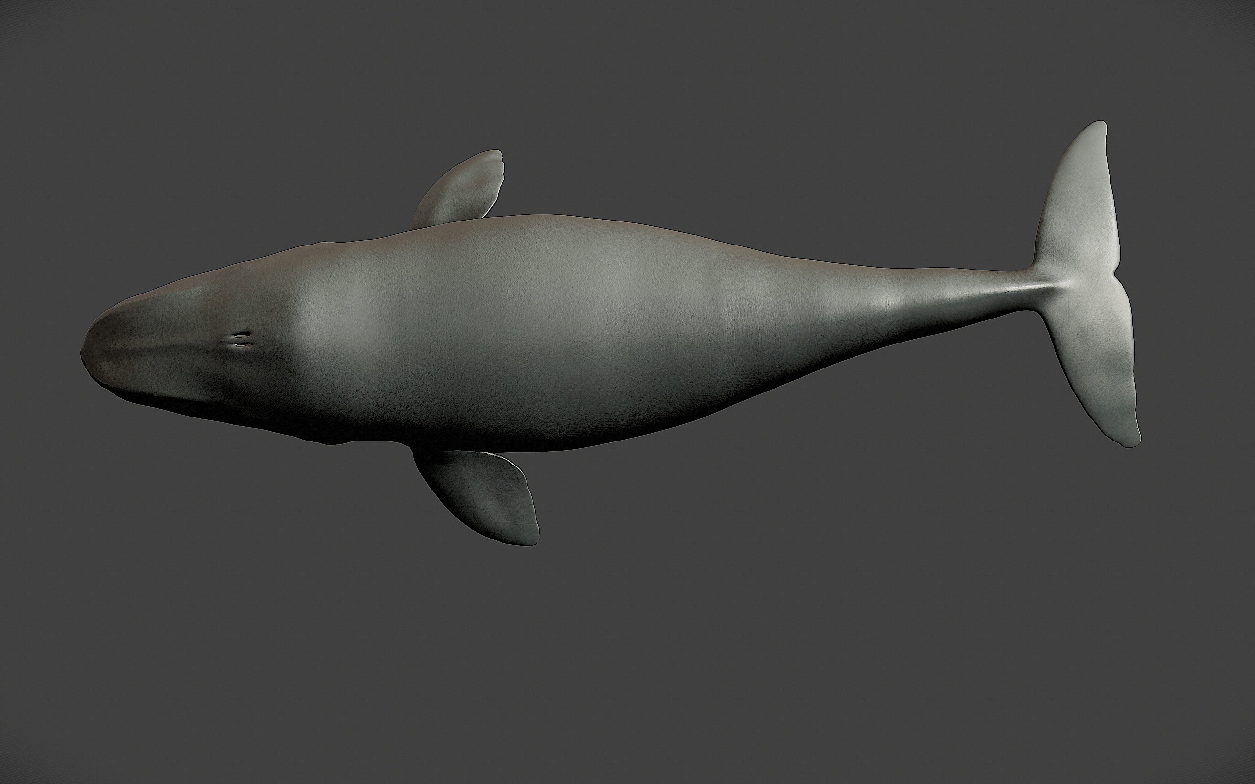 Bowhead Whale 3D print model_8