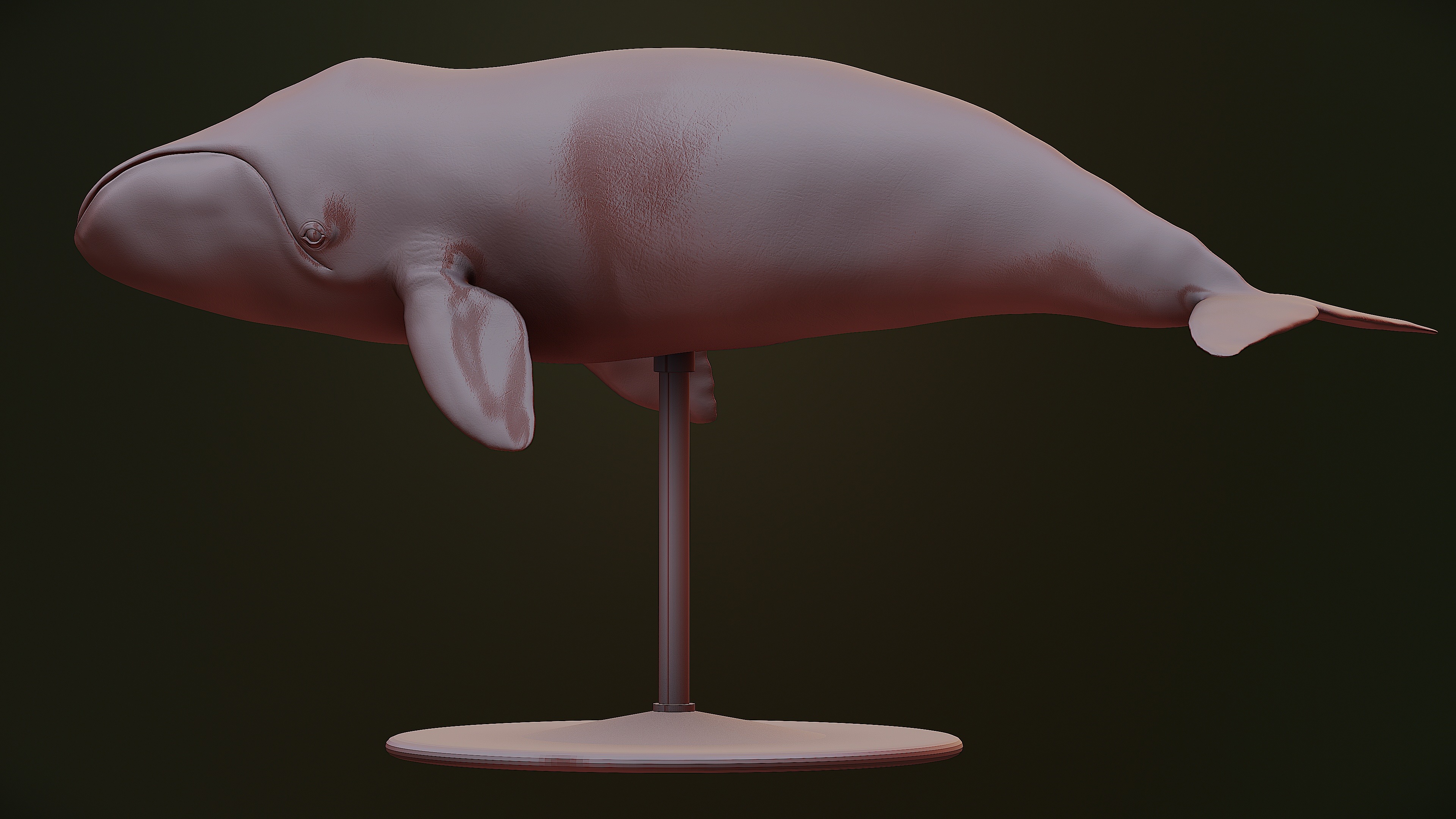 Bowhead Whale 3D print model_11