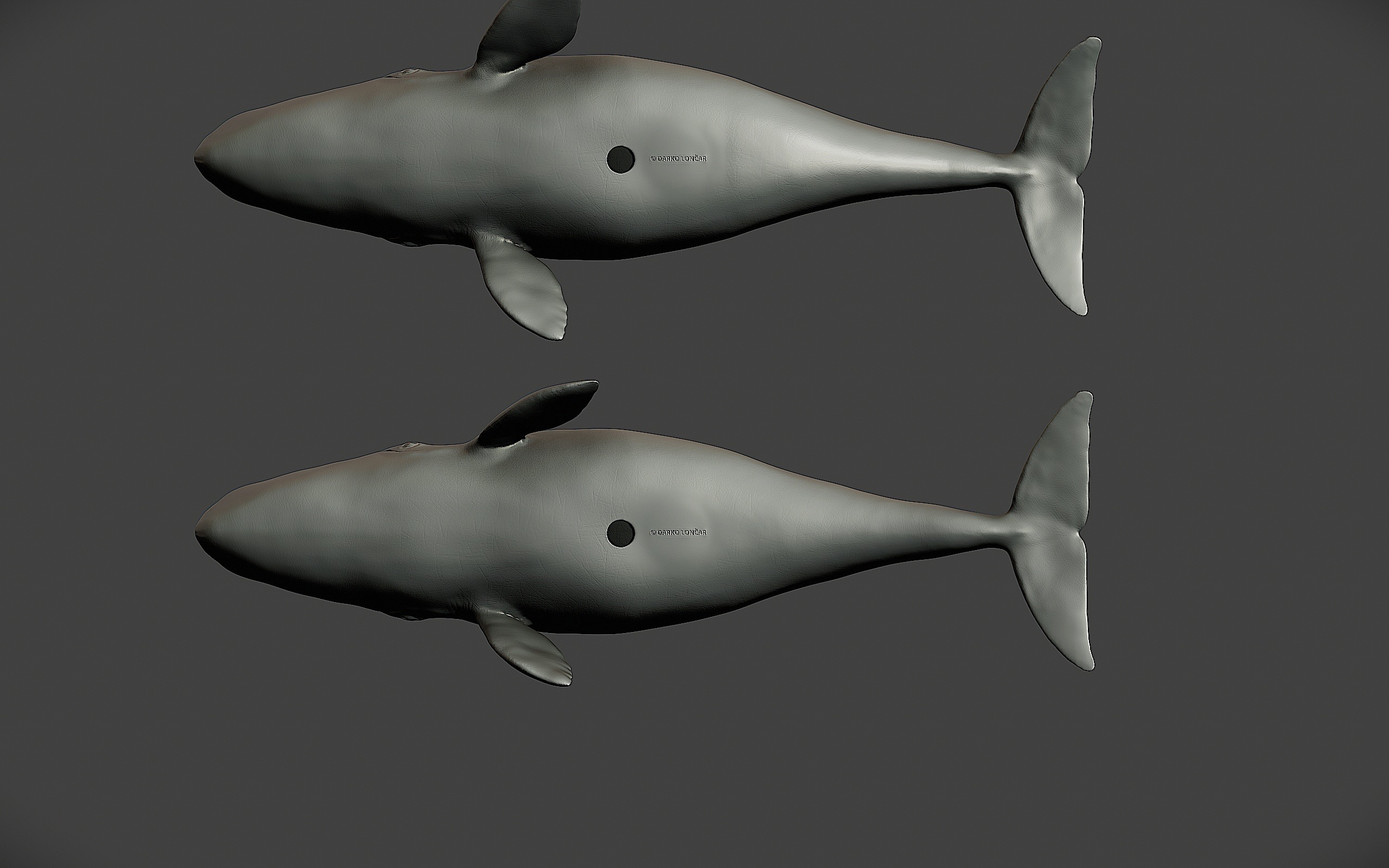 Bowhead Whale 3D print model_9