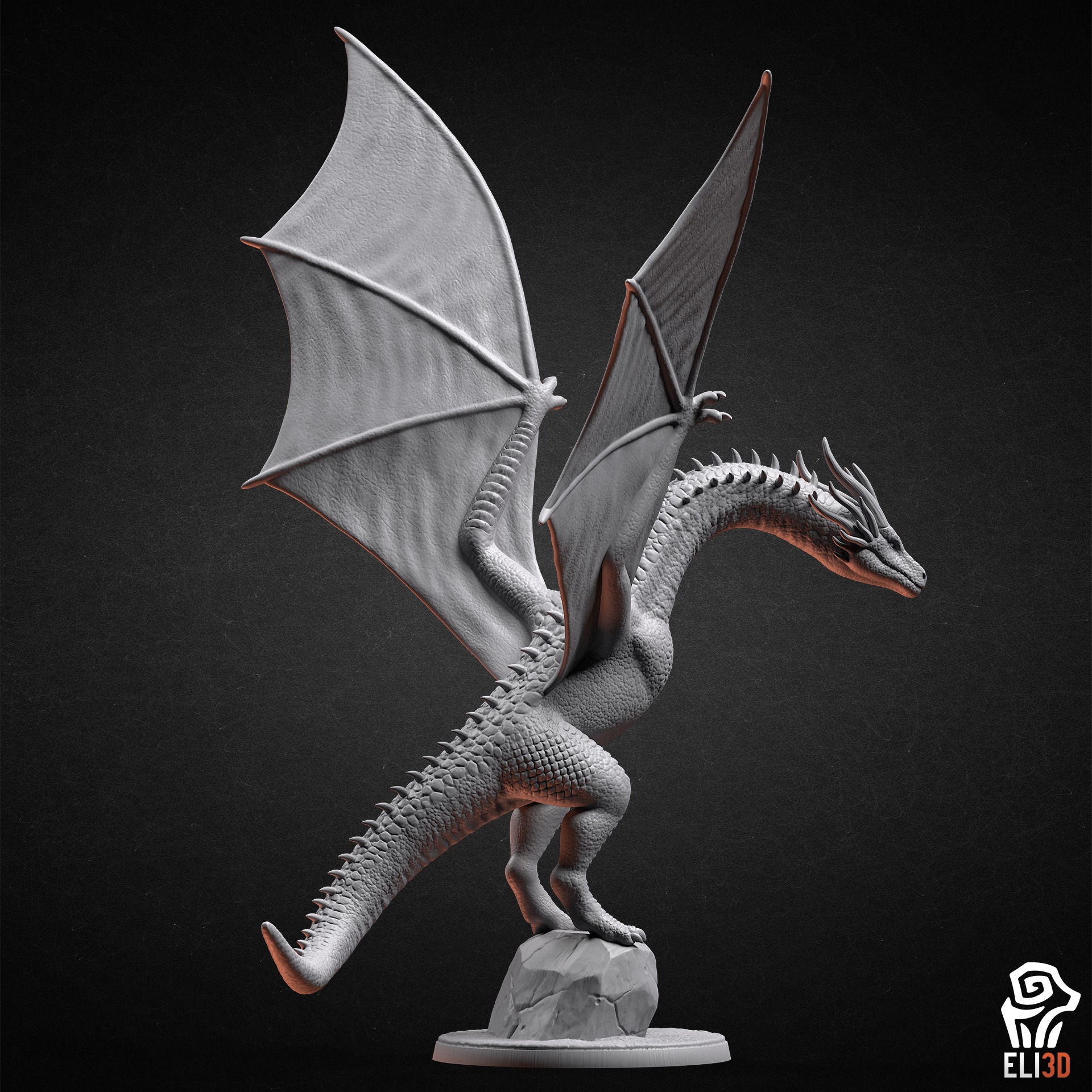 Dragons 3D print model_4