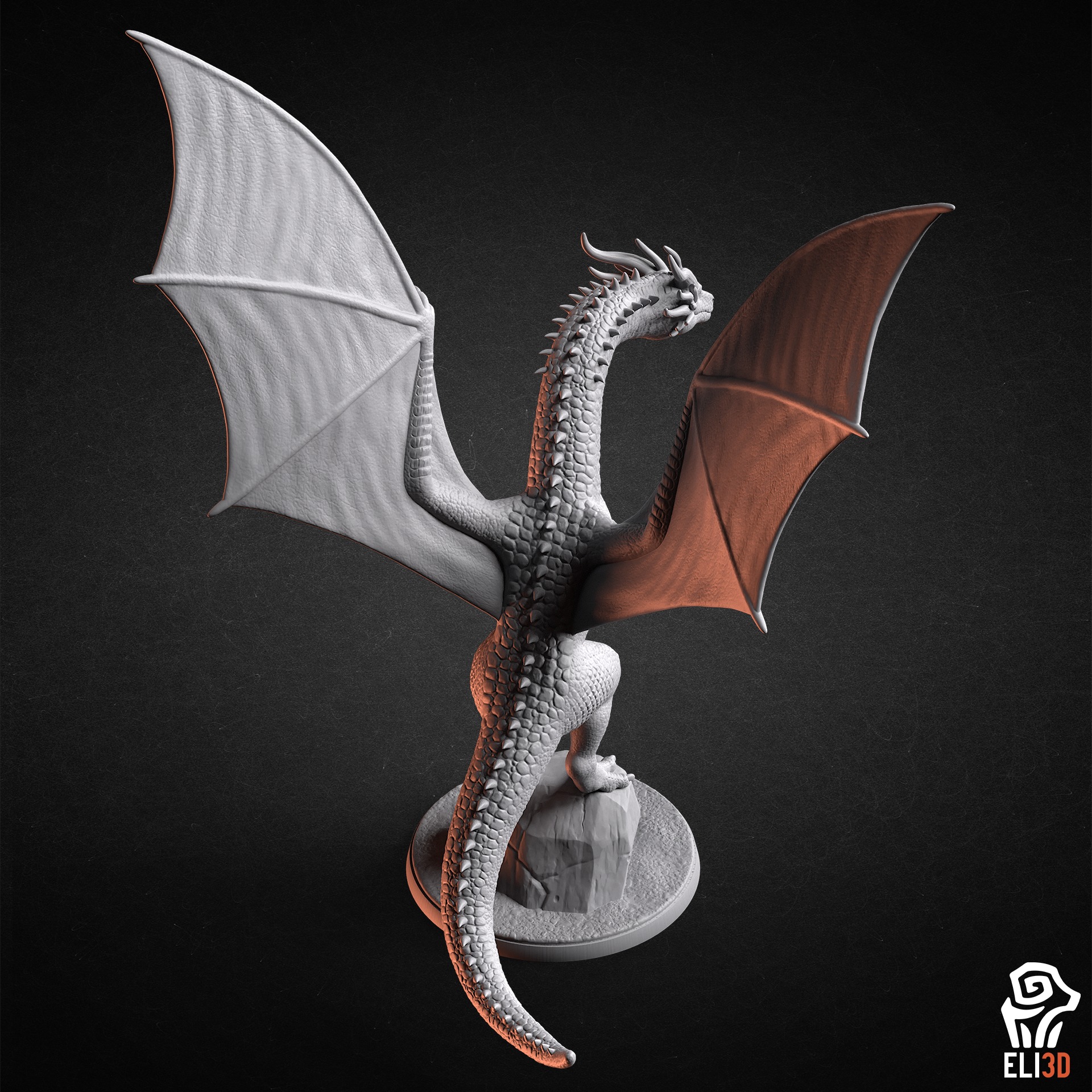 Dragons 3D print model_5