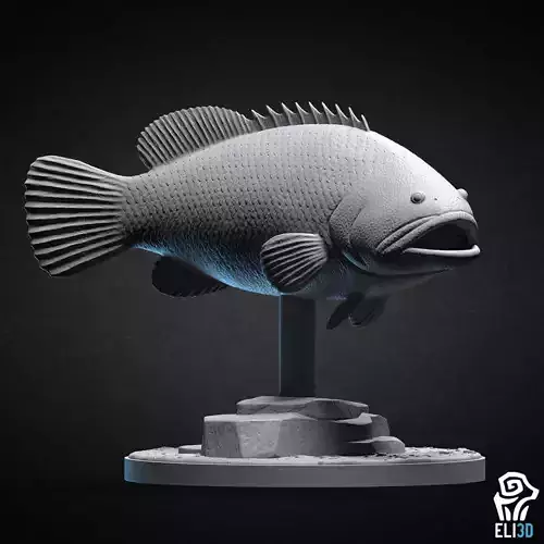 Goliath Grouper - Animal  3D print model