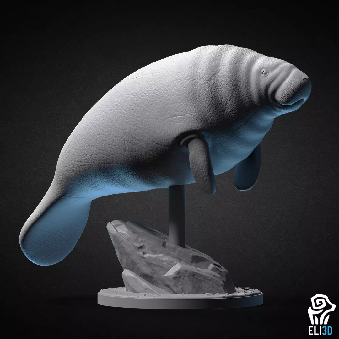 Manatee 3D print model