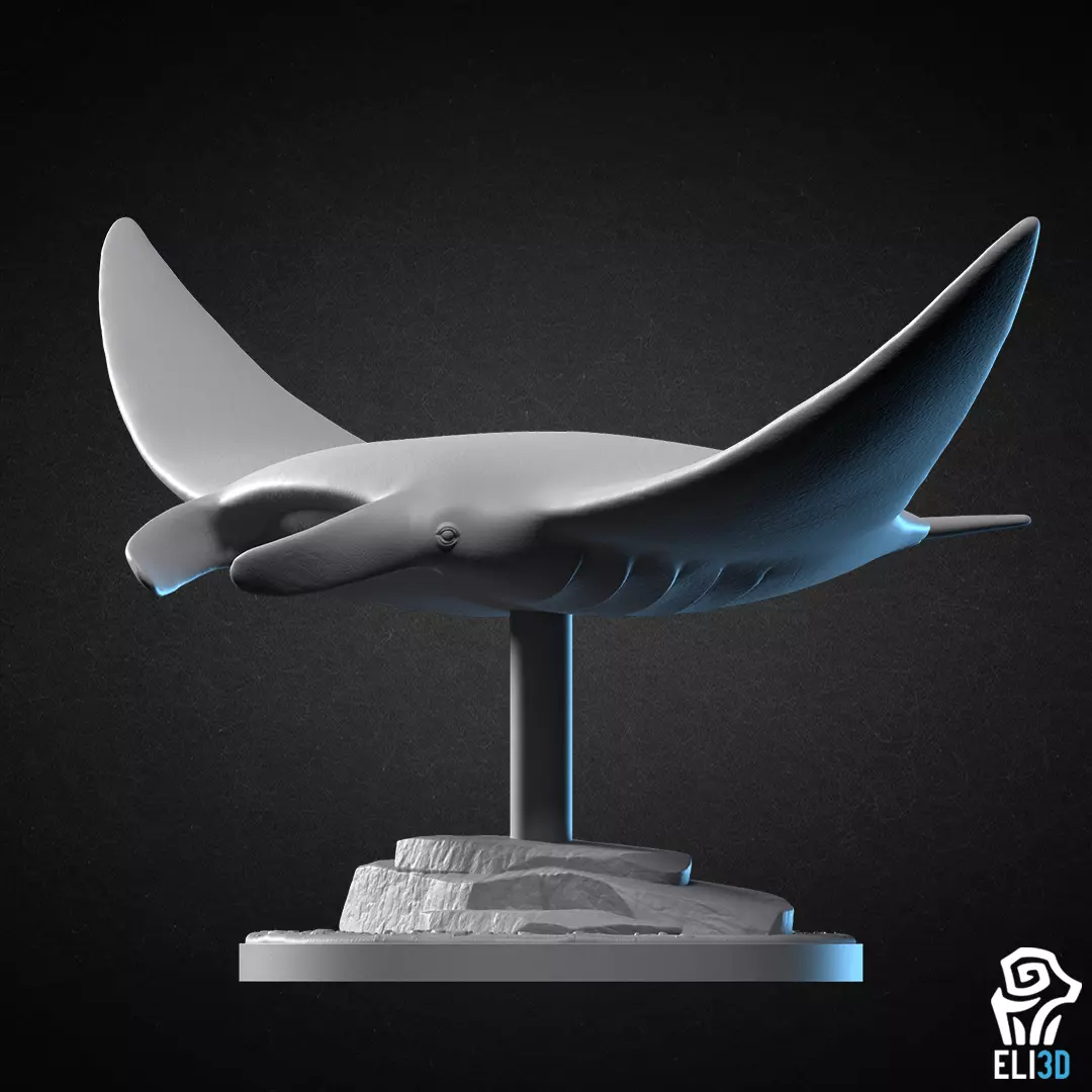 Manta Ray - Animal 3D print model